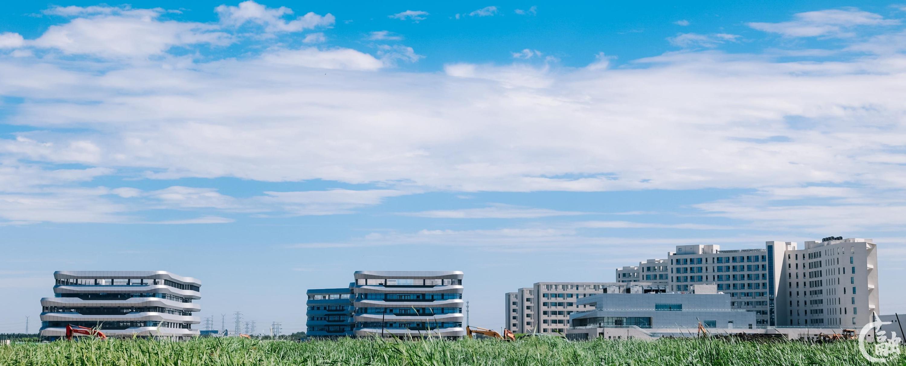 8月15日,taptap下载安装安卓宁河校区正式启动搬迁工作。左起为图书馆 教学楼 宿舍楼.jpg