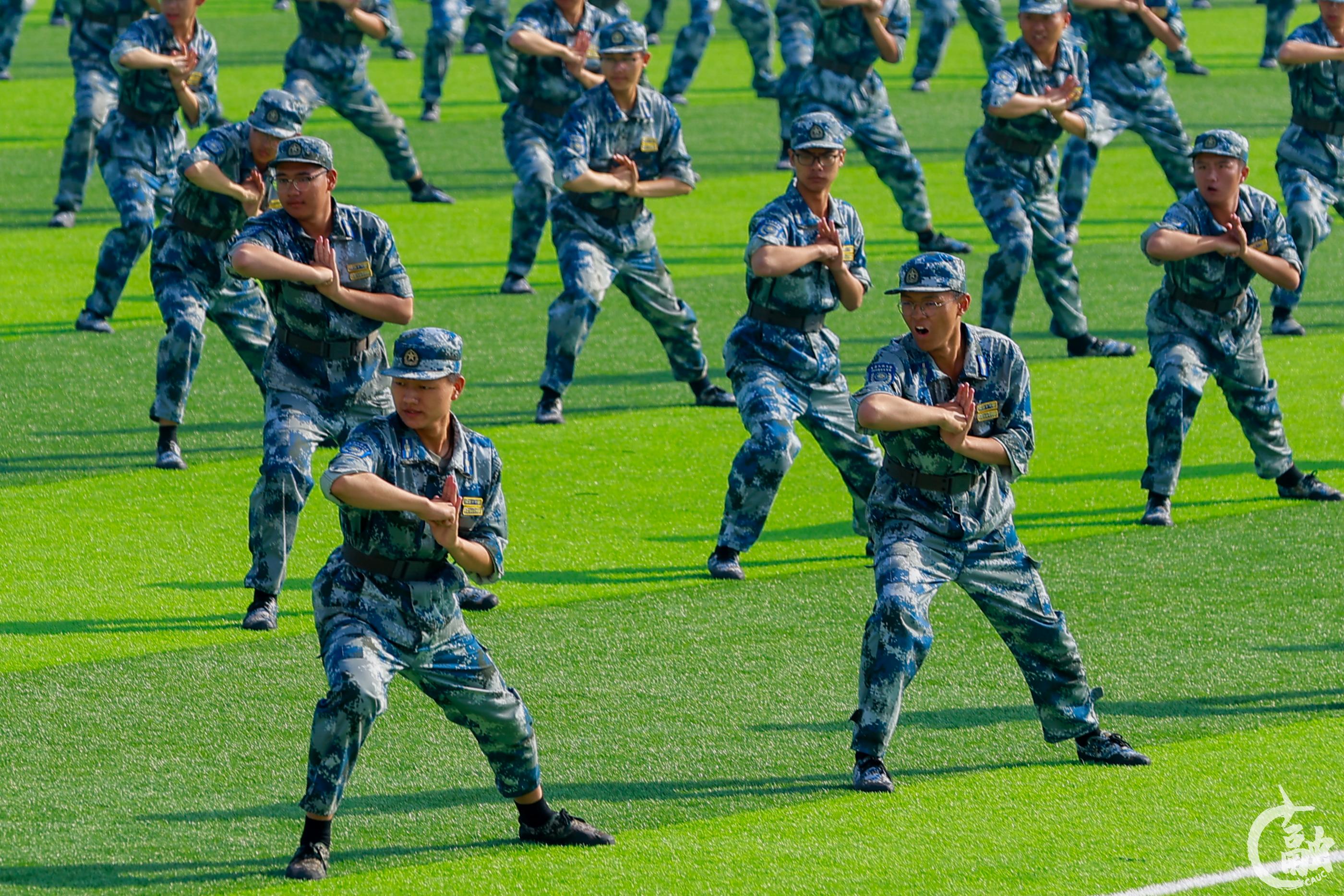 擒敌拳-.jpg