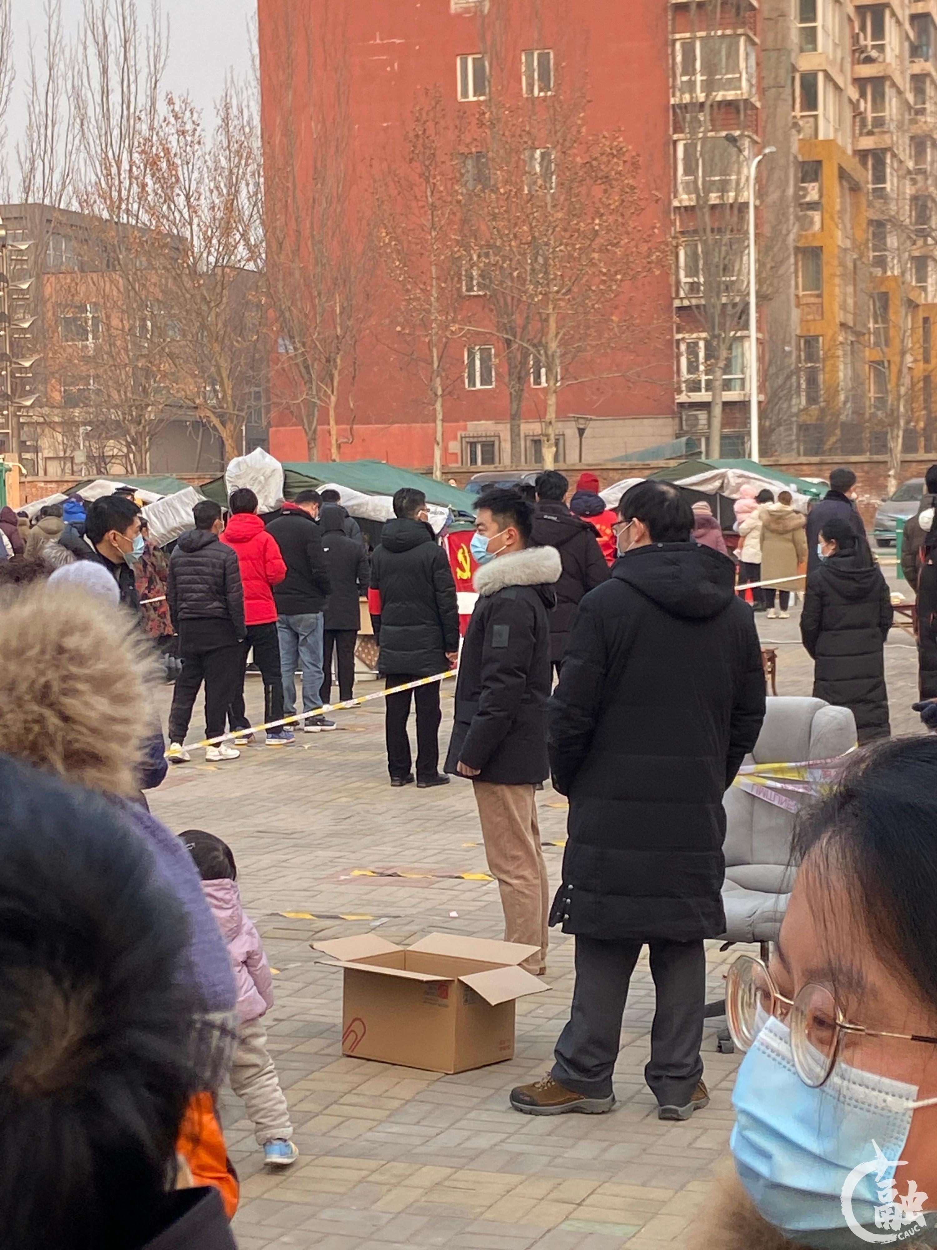 陈罡志愿者2.jpg undefined