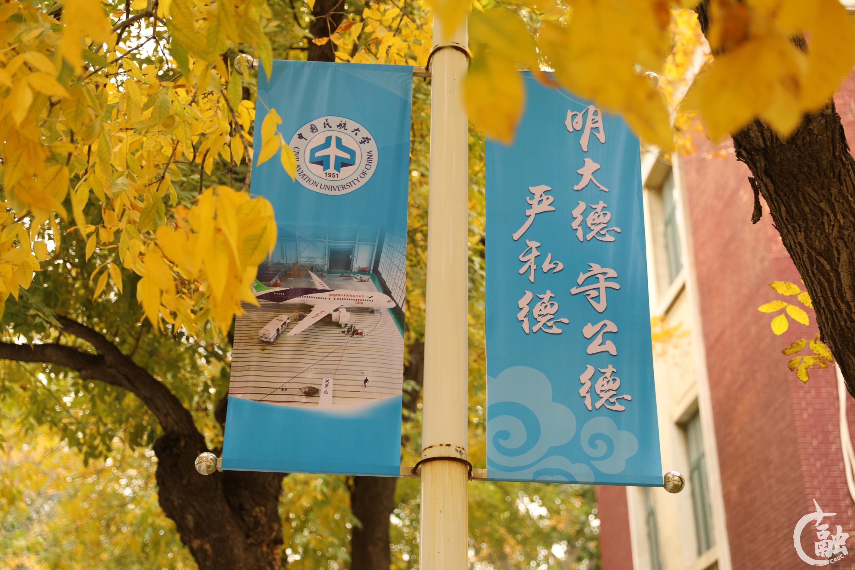 旗帜冯程钰.JPG