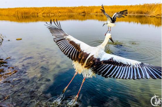 445565667678768.png undefined