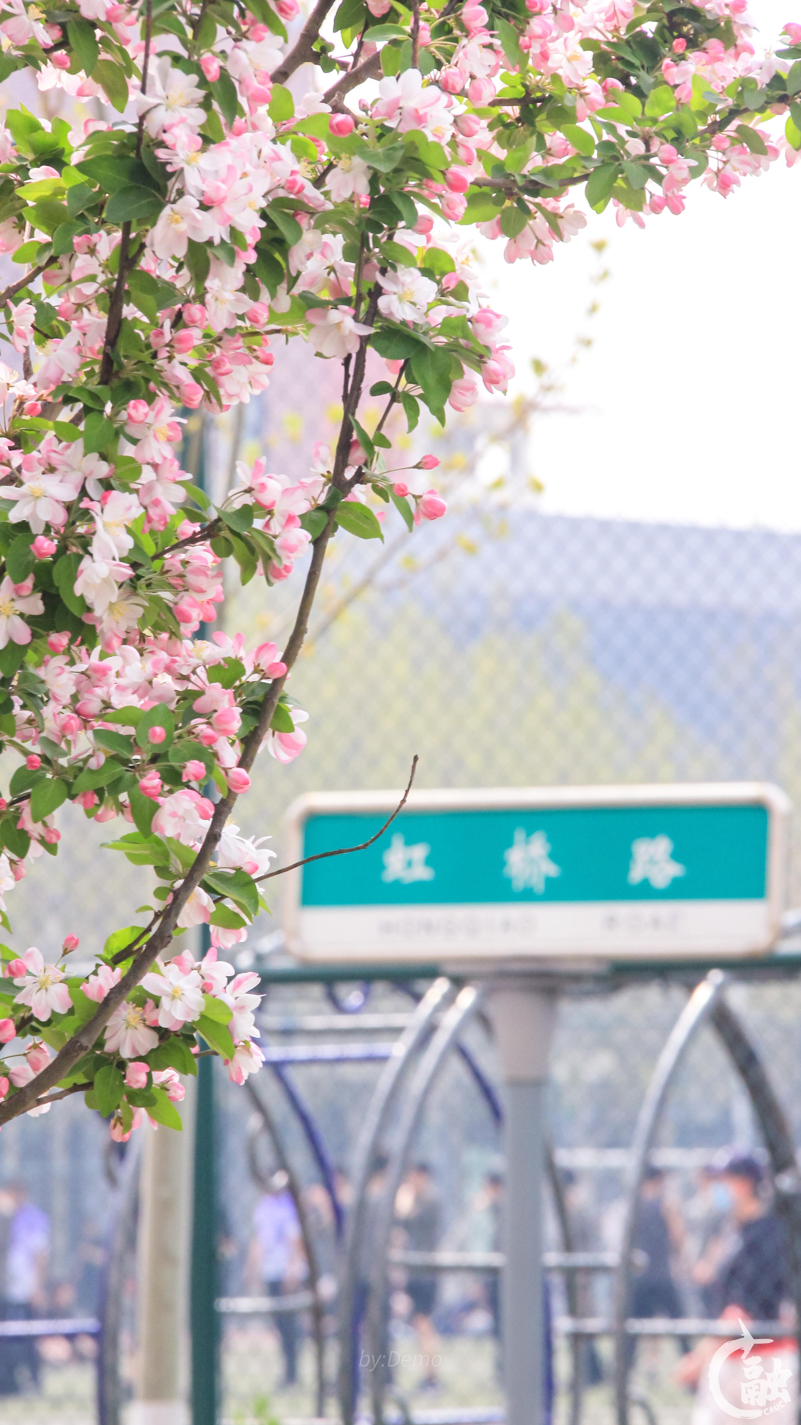 微信图片_20220417211301.jpg