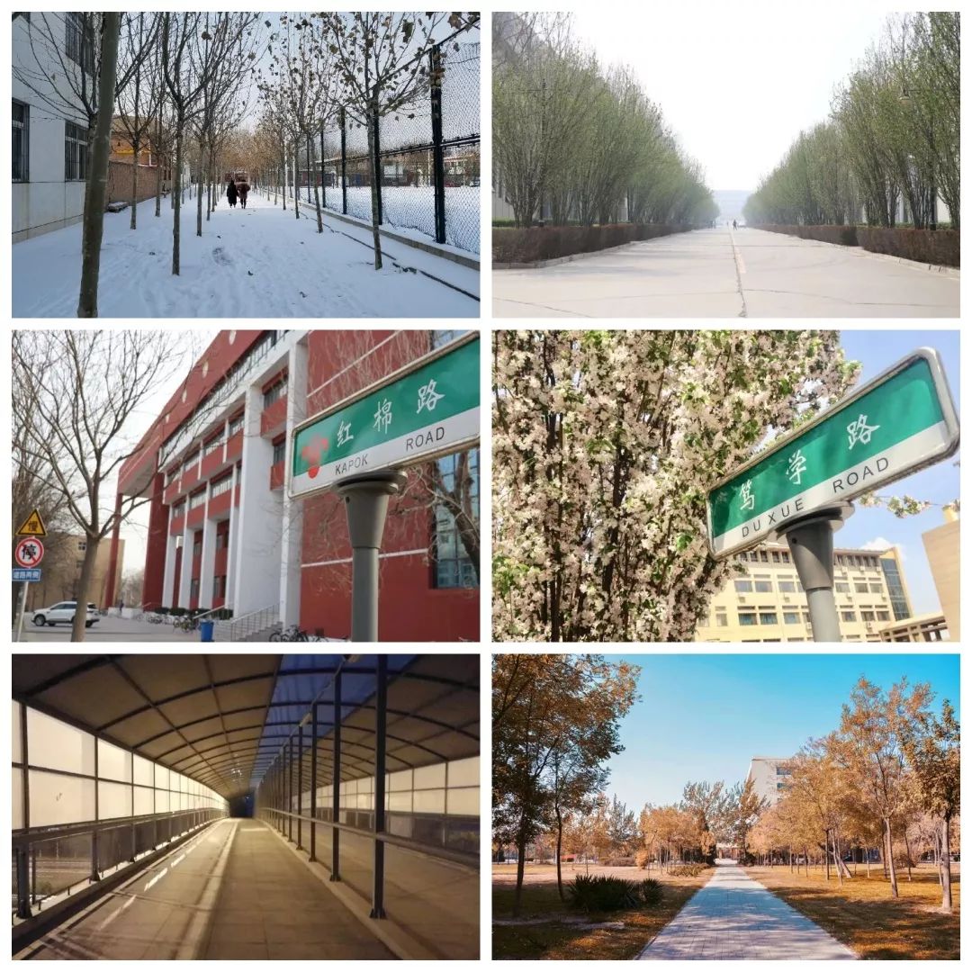 微信图片_20190304143101.jpg