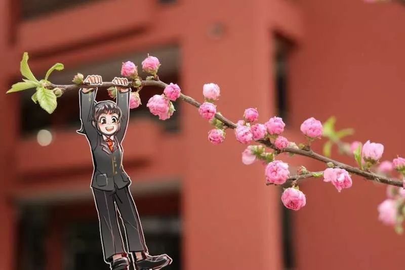 微信图片_20190530143435.jpg 微信图片_20190530143435.jpg