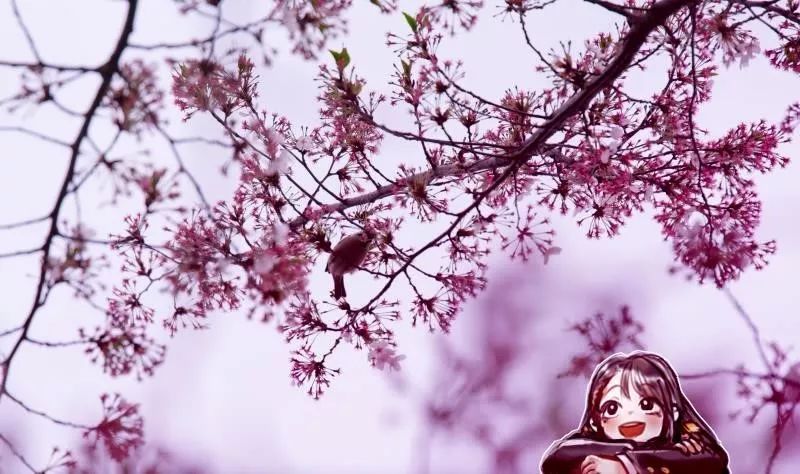 微信图片_20190530143440.jpg 微信图片_20190530143440.jpg