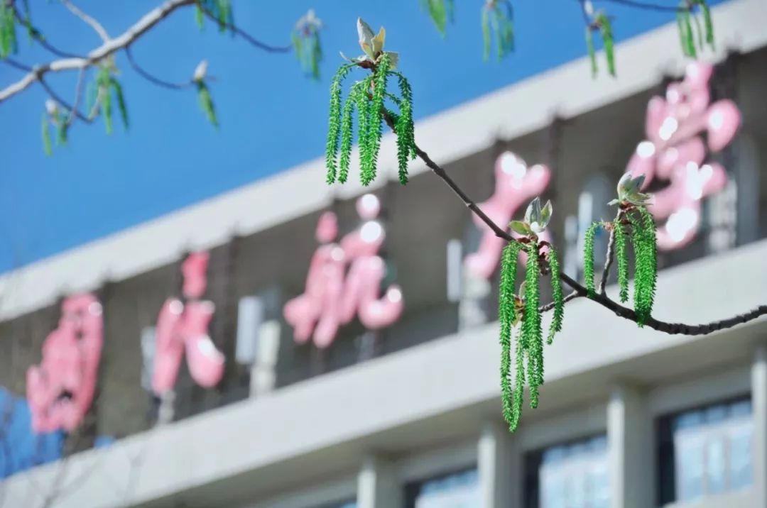 微信图片_20190811101250.jpg 微信图片_20190811101250.jpg