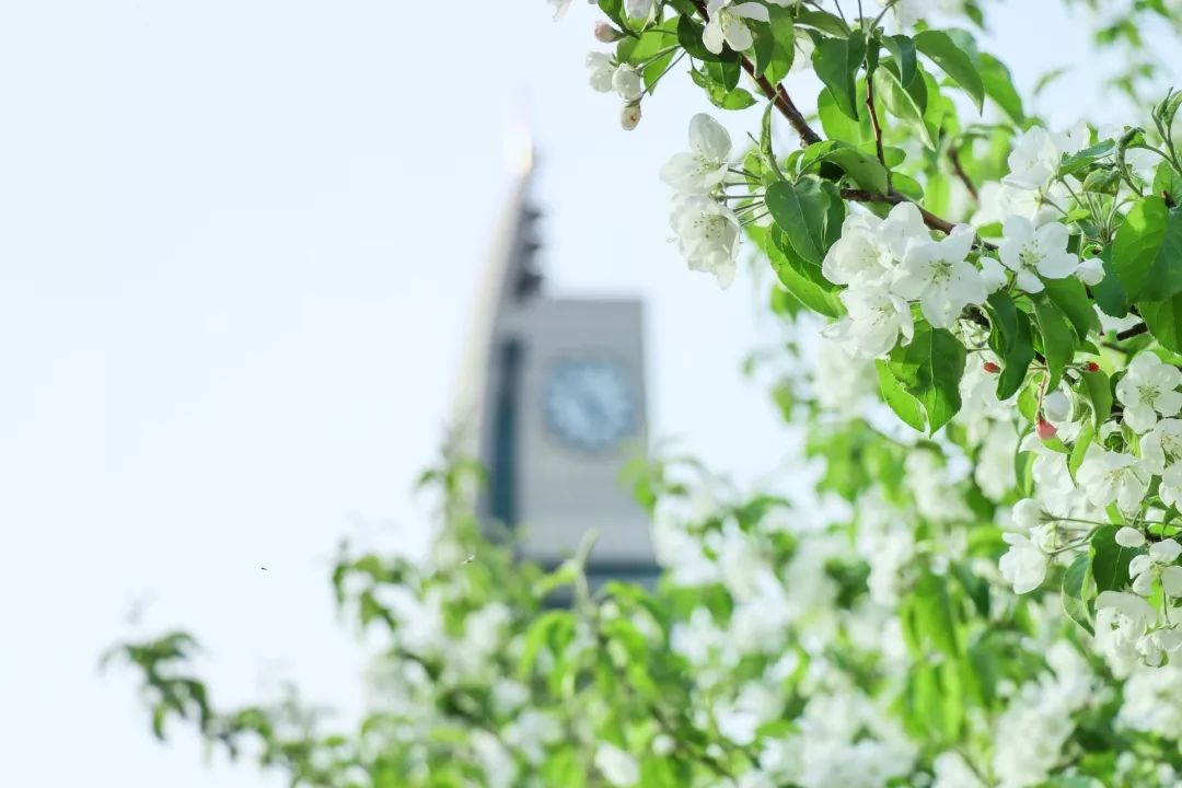 微信图片_20190811101253.jpg 微信图片_20190811101253.jpg